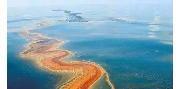 “亲水又亲油”的聚氨酯新型海绵材料面世