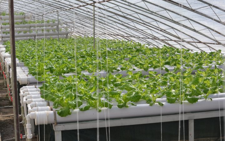 我们为什么不能停止生产塑料产品？