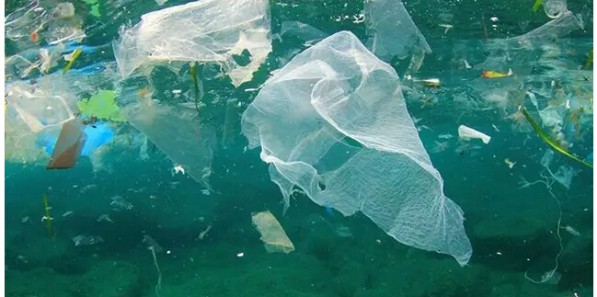 寻找“一次性塑料包装物回收问题的解决方案”