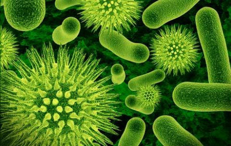 Novamont扩大生物塑料产能