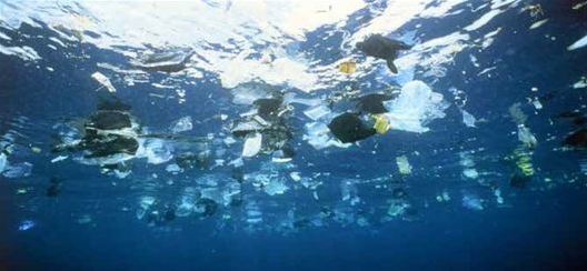 面对塑料污染 人类在劫难逃？