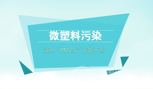 阻击微塑料污染，可以这样做