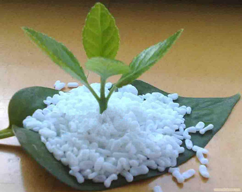 SEP可生物降解塑料厂落户兴仁工业园