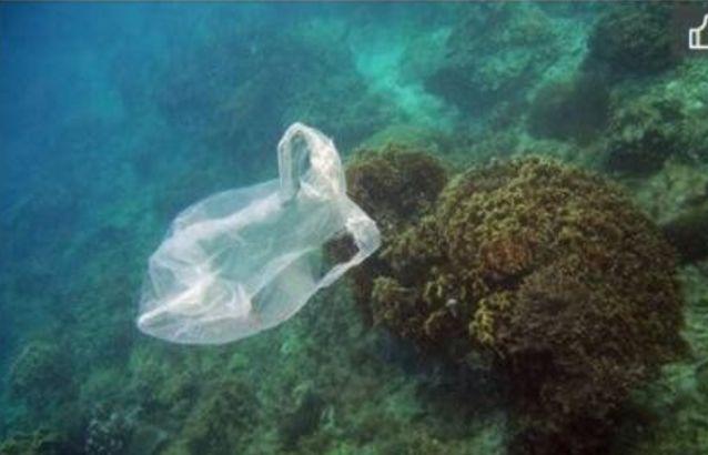 塑料污染已到马里亚纳海沟