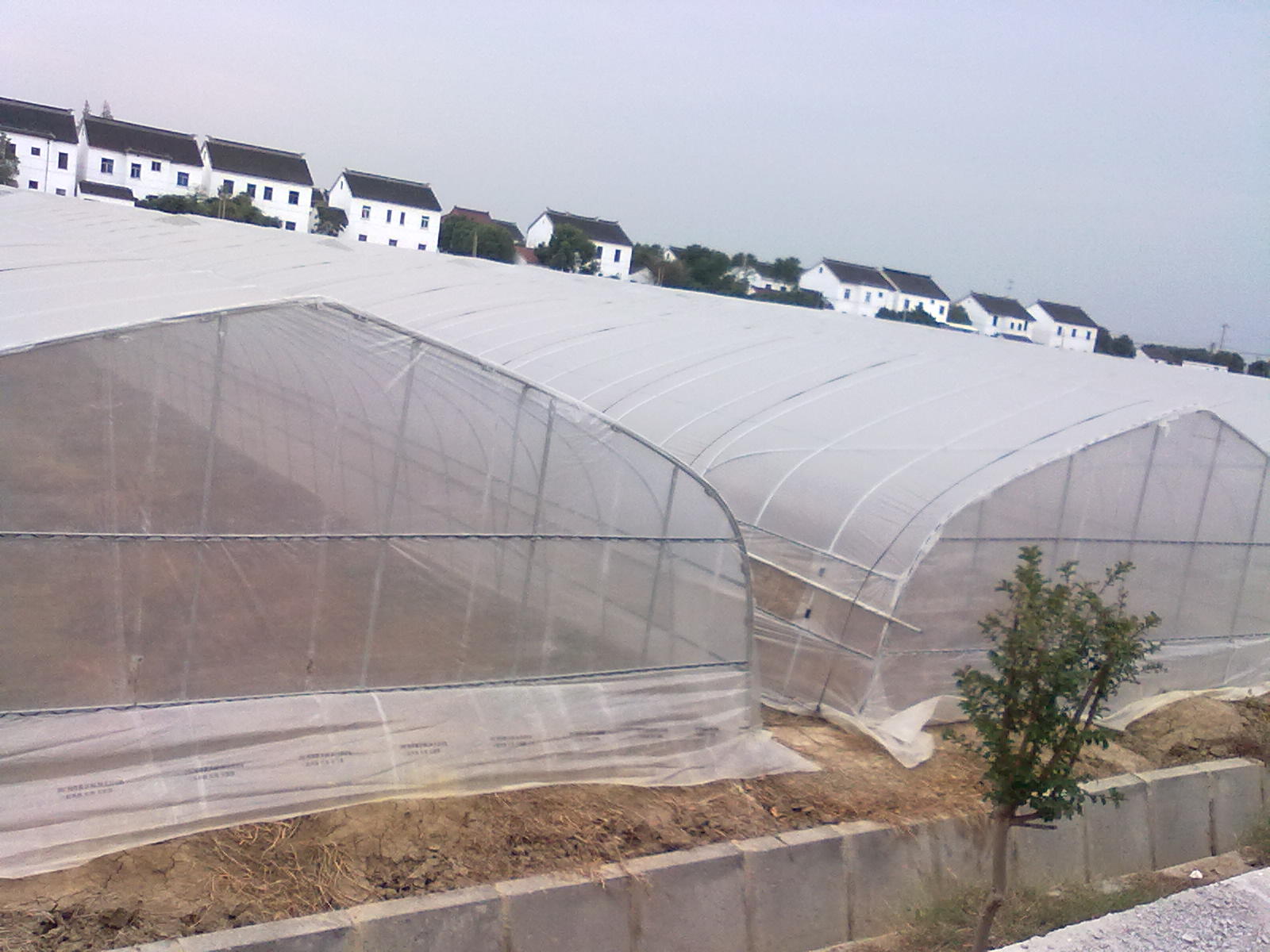 农膜： 需求不振 价格低位