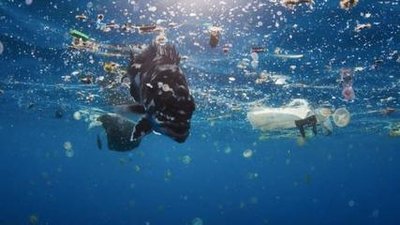 日本政府拟大力扶持企业开发“可被海水分解的塑料” 抢先认证ISO