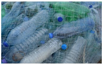 豪掷6000万英镑，英政府支持植物环保塑料的研发