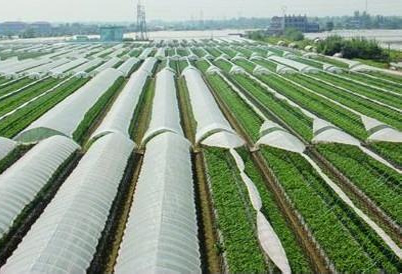 浙江：要求2020年废旧农膜回收率达90%