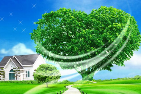 “我行我塑”何时能彻底扭转