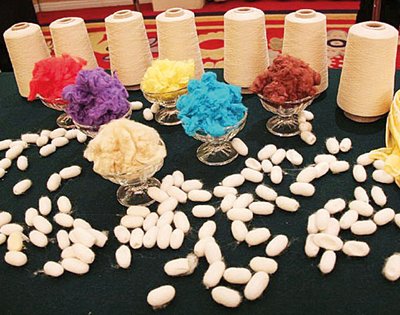 大力扶持生物基材料产业发展