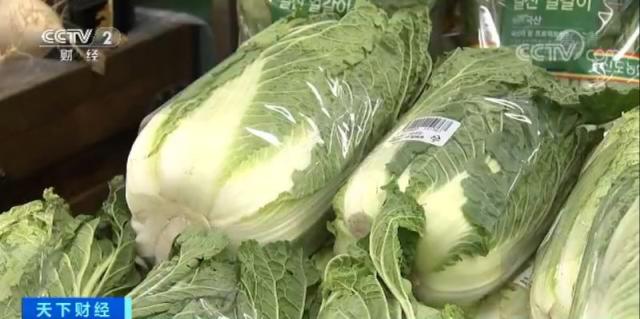 韩国白菜暴涨至30元一棵！商家坐不住了
