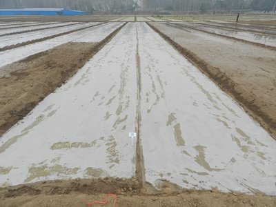 可降解地膜助力绍兴“无废农业”