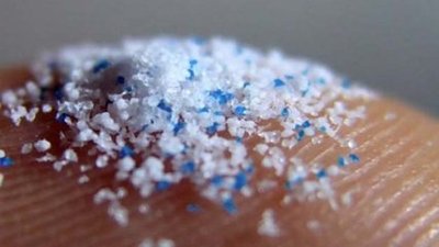 声学聚焦可积聚水中的微塑料