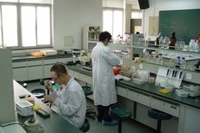 化学化工实验室安全管理团标发布
