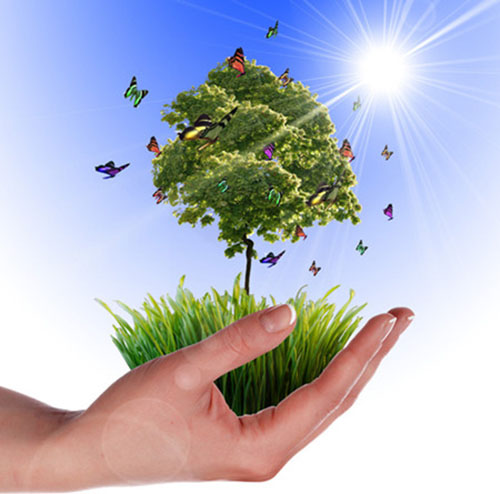 中办国办印发《关于构建现代环境治理体系的指导意见》