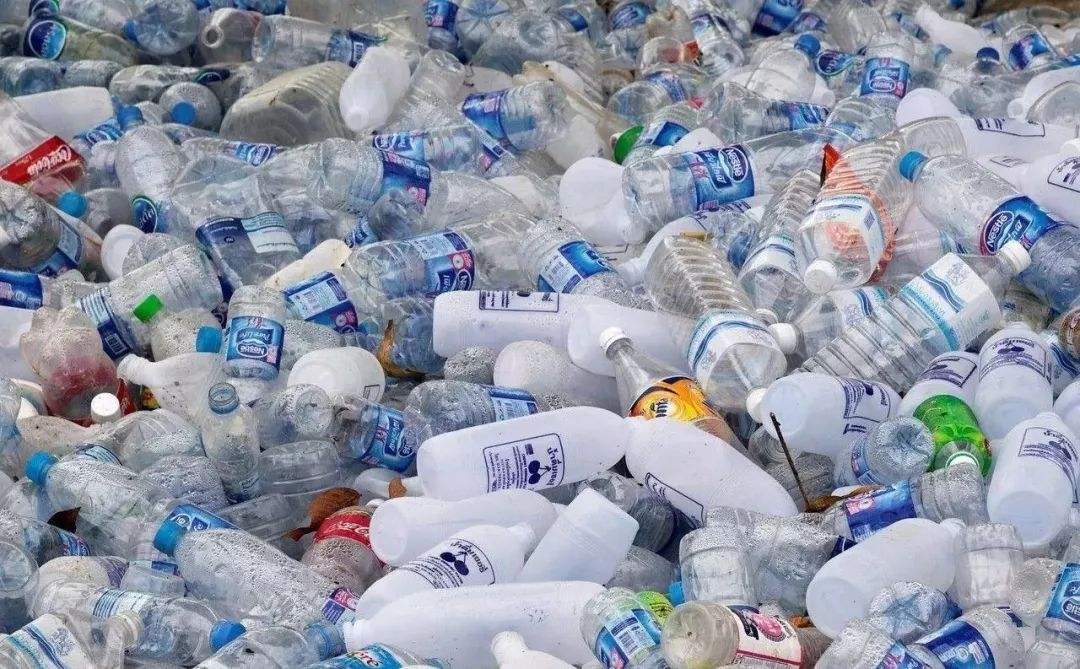 在冠状病毒肆虐的情况下，R-PET市场得到支持