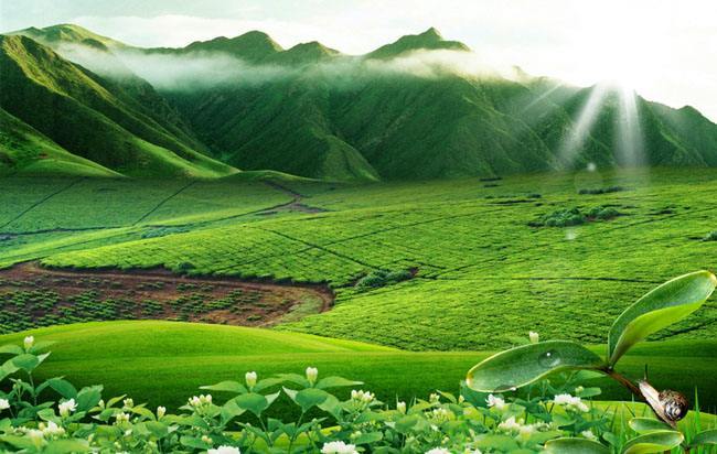 用最严密法治保护生态环境