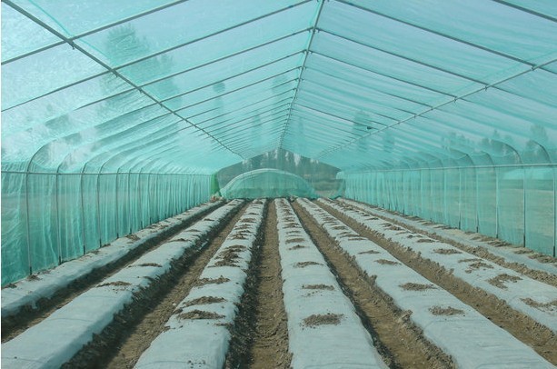 新版“禁塑令”提出后，塑料农膜市场又该如何发展？