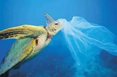 中科院成功研发海水可降解塑料，希望率先在海南应用推广