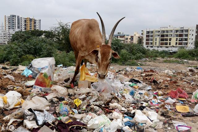 9部门联合印发通知 塑料污染治理出重拳