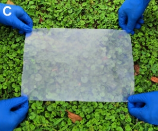 我国科学家成功研制可降解仿生透明薄膜