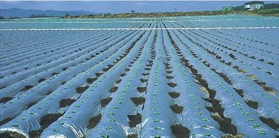 “白色污染”攻坚战打响，农膜管理有大动作