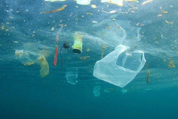 生态环境部：我国近海表层水体微塑料含量处于中低水平