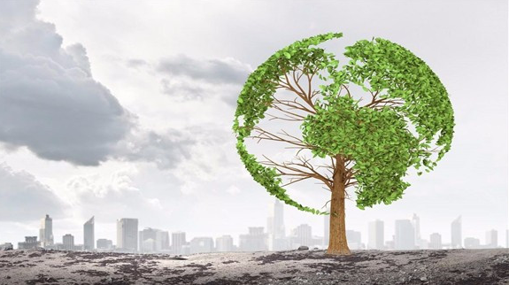 源头减排 从使用量大的下手，酒店餐饮率先迎战塑料污染治理