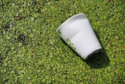 工信部：鼓励支持生物降解塑料的产业化示范应用