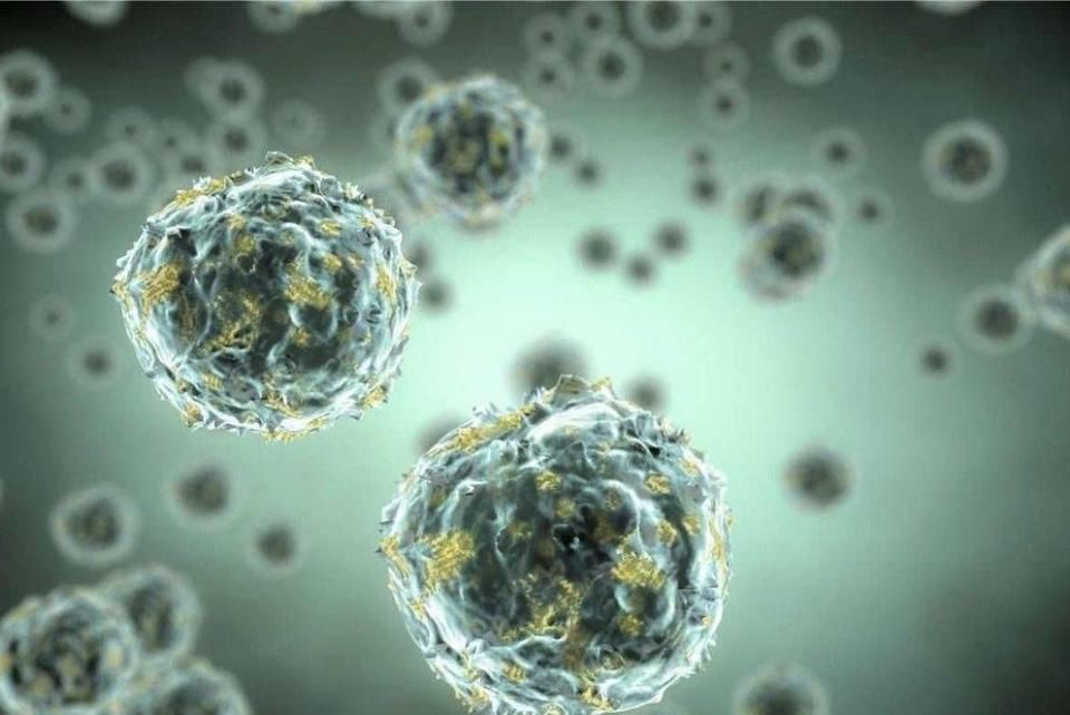 多种细菌能“吃掉”塑料 大规模部署仍面临诸多挑战