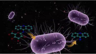 中国科学家发现能有效降解塑料垃圾的海洋微生物菌群和酶