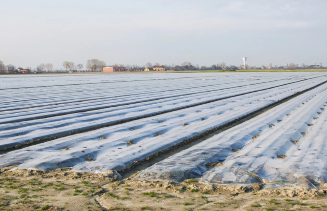 废旧农膜回收利用的实践与对策研究