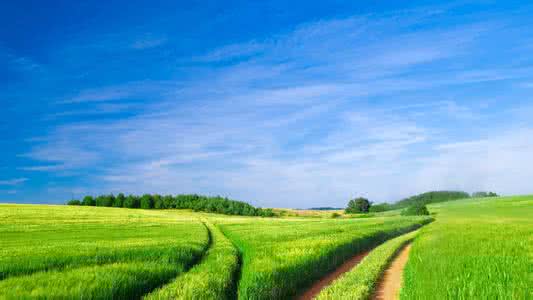 2025年中国将基本建成资源循环利用体系