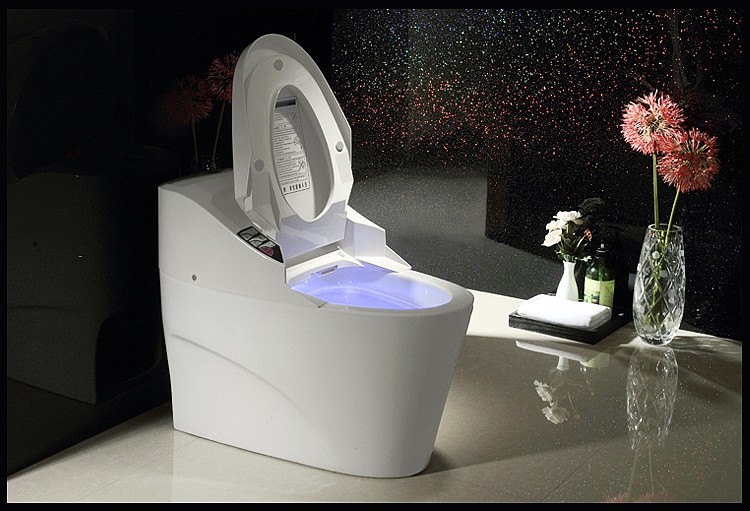 一台智能马桶的别样生意 代工阵痛后台州品牌寻求突围