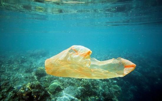 日本财团联合高校共同研究塑料垃圾对人类的影响