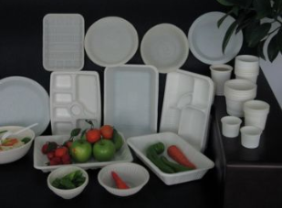 可降解塑料餐具 市场规模、潜力如何？