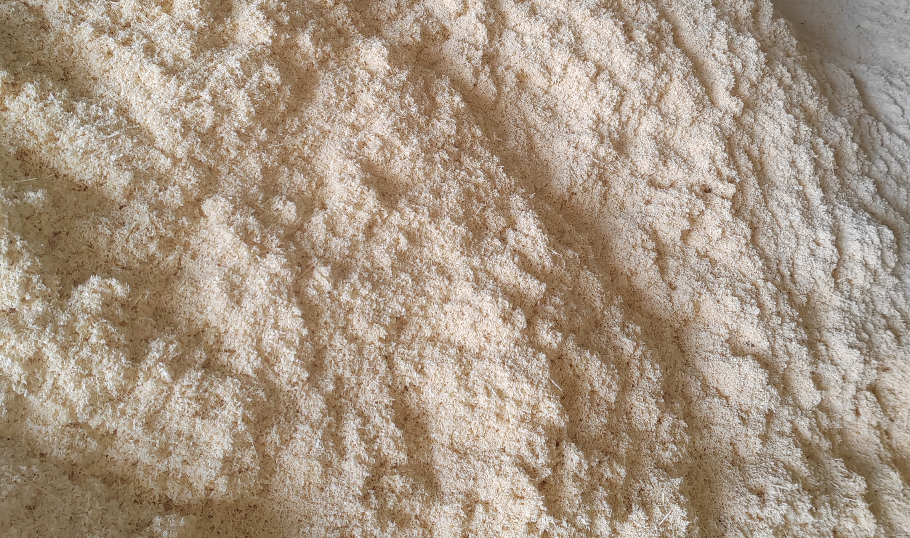 竹粉环球，边角料化身绿色热销品